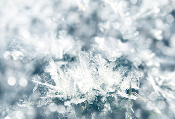 winter background with snowflakes crystals patterns and snow on frozen grass
