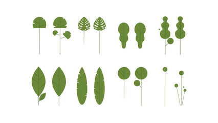 Collection of green plants. Elements for design. Vector flat brush template for illustrator. - 308221193
