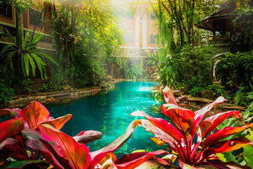 Swimming pool in beautiful nature jungle style under trees and house background at sunshine time,...