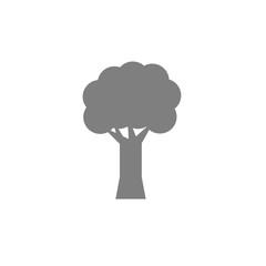 Tree icon on white background