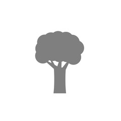 Tree icon on white background