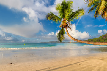 Sandy beach with palm trees and a sailing boats in the blue ocean on Paradise island.	