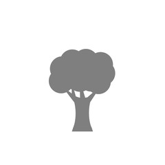 tree icon on white background