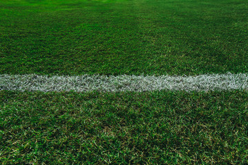 Top view of green grass texture with white line in football or soccer field. dark tone. © Phongsak