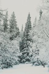  winter in the mountains. snow on top of the mountains. freeride. extreme sports mountains