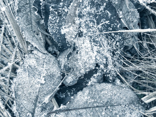 winter background with snowflakes crystals patterns and snow on frozen grass