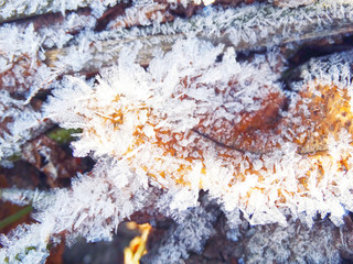 winter background with snowflakes crystals patterns and snow on frozen grass