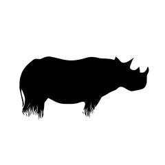 Vector silhouette of rhinoceros in the grass on white background. Symbol of animal, zoo, Africa, safari, wild, nature, park, garden.