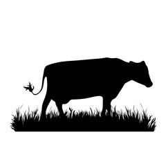 Vector silhouette of cow in the grass on white background. Symbol of animal, beef, farm, milk, nature, pasture.