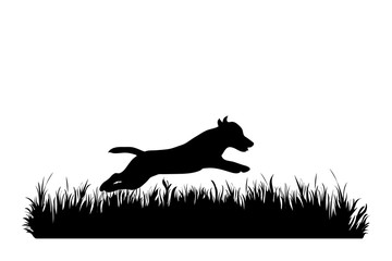 Vector silhouette of dog in the grass on white background. Symbol of animal, pet, run, nature, park, garden.