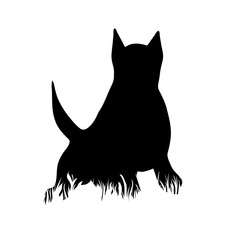 Vector silhouette of dog in the grass on white background. Symbol of animal, pet, run, nature, park, garden.