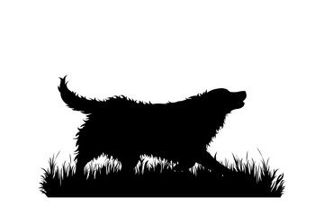 Vector silhouette of dog in the grass on white background. Symbol of animal, pet, run, nature, park, garden.