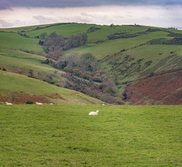 North Hill, panorama jesienia