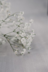 small delicate white flowers on a light wooden background