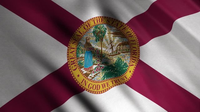 Florida realistic flag texture with ripples, United States of America, seamless loop. Animation. Close up of the abstract fluttering texture of the flag.