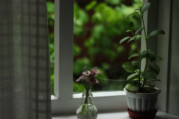 bouquet of daisies in vase on windowsill against nature view