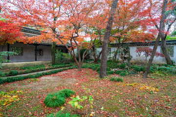 Suzhou Gardens，Humble Administrator's Garden in Suzhou，china