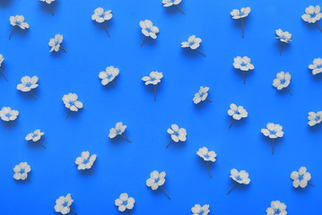 Flower's petals on colorful background.