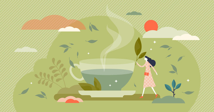 Green Tea Vector Illustration. Herbal Drink In Flat Tiny Persons Concept.