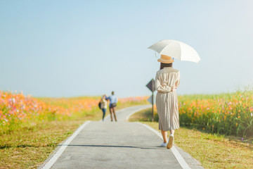 A young female tourist holds a parasol to see the vast and colorful cosmos flower field, The...