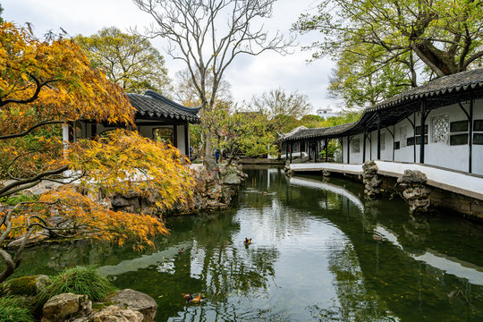 Suzhou Gardens，Humble Administrator's Garden in Suzhou，china