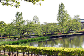 茨城県水戸市 千波湖