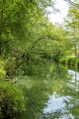 La Liane à Hesdigneul - Pas-de-Calais