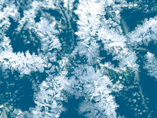 winter background with snowflakes crystals patterns and snow on frozen grass