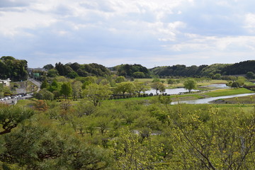 茨城県水戸市 偕楽園