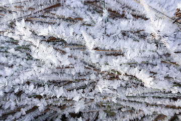 The grass is covered with crystals of ice and snow. Beautiful winter background