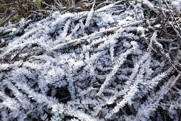 The grass is covered with crystals of ice and snow. Beautiful winter background
