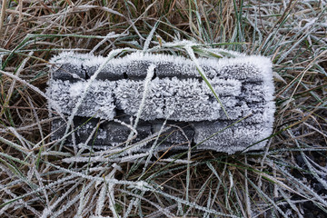 Burnt logs on the site of an extinct fire in the winter, covered with crystals of snow.
