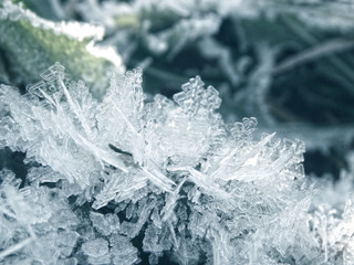 winter background with snowflakes crystals patterns and snow on frozen grass