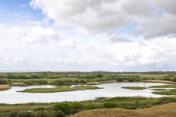 Parc ornithologique du Marquenterre à Saint-Quentin-en-Tourmont (Somme)