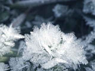 winter background with snowflakes crystals patterns and snow on frozen grass