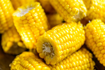 Corn on the cob in a bowl cooked