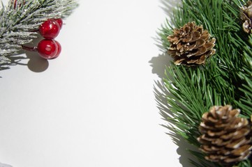 christmas background with fir branches and cones