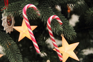 Zuckerstangen an einem geschmückten Weihnachtsbaum