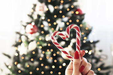 girls hands hold tasty candies on a background of a festive tree.