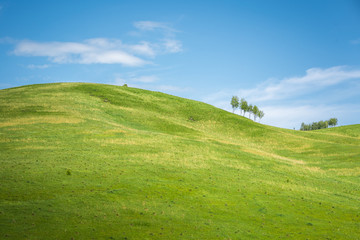 Wooded high mountains extend into the distance in taiga.