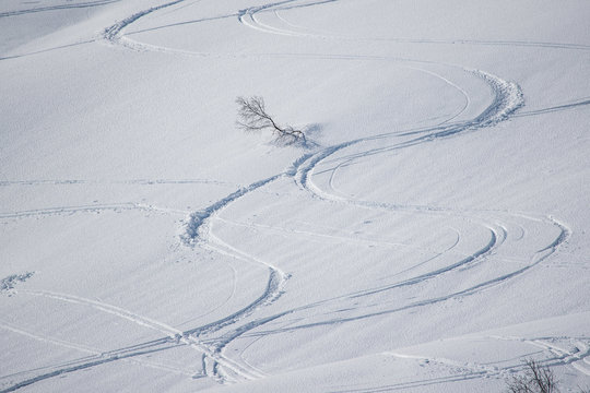 ski tracks on white fluffy porridge snow, a large mountain alley, where you can see only a few small trees, but the rest is snow - covered white and fluffy as Christmas.