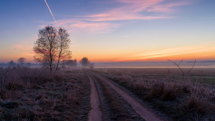 Mgły i szron o poranku, Rzeka Narew, Narwiański Park Narodowy, Podlasie, Polska © podlaski49