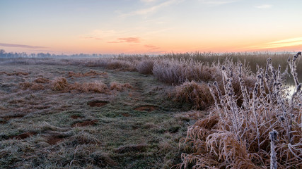 Mgły i szron o poranku, Rzeka Narew, Narwiański Park Narodowy, Podlasie, Polska © podlaski49