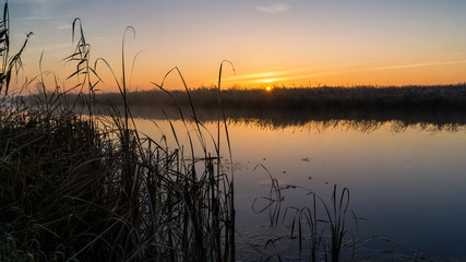 Mgły i szron o poranku, Rzeka Narew, Narwiański Park Narodowy, Podlasie, Polska © podlaski49