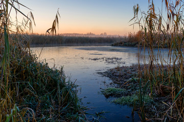 Mgły i szron o poranku, Rzeka Narew, Narwiański Park Narodowy, Podlasie, Polska © podlaski49