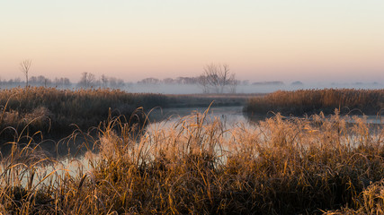 Mgły i szron o poranku, Rzeka Narew, Narwiański Park Narodowy, Podlasie, Polska © podlaski49