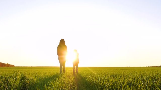 Happy family: a mother and child walk through a green field in the rays of the sun during sunset. The little boy points to the sky.