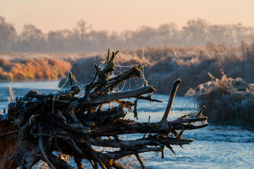 Mgły i szron o poranku, Rzeka Narew, Narwiański Park Narodowy, Podlasie, Polska © podlaski49