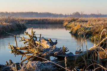 Mgły i szron o poranku, Rzeka Narew, Narwiański Park Narodowy, Podlasie, Polska © podlaski49