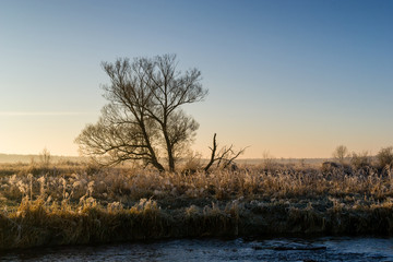 Mgły i szron o poranku, Rzeka Narew, Narwiański Park Narodowy, Podlasie, Polska © podlaski49